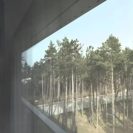 Shellter Premium Przy Plazy 洛格沃