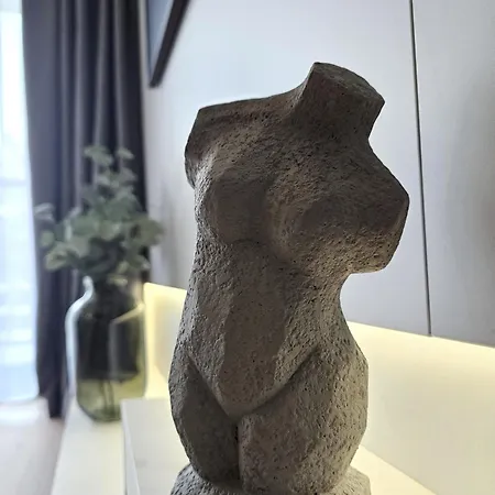 Shellter Premium Przy Plazy 洛格沃