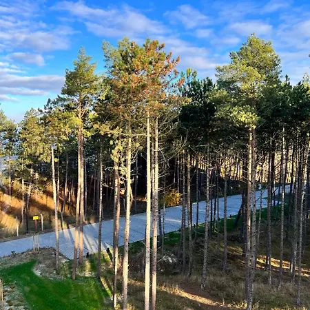 Shellter Premium Przy Plazy רוגובו