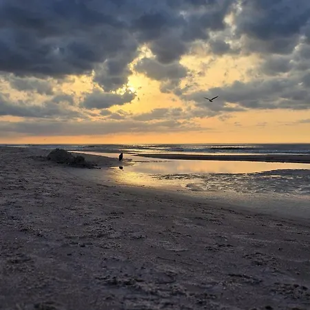 Shellter Premium Przy Plazy