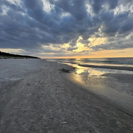 Shellter Premium Przy Plazy רוגובו