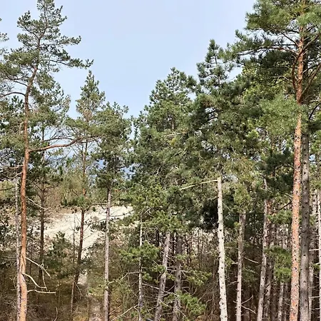 Shellter Premium Przy Plazy דירה *