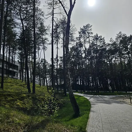 Shellter Premium Przy Plazy