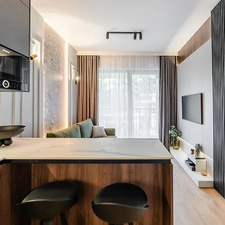 公寓 Shellter Premium Przy Plazy 洛格沃