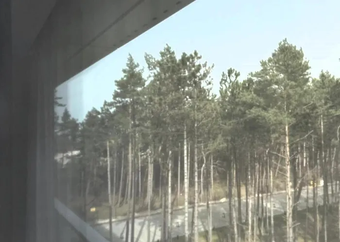 Shellter Premium Przy Plazy רוגובו