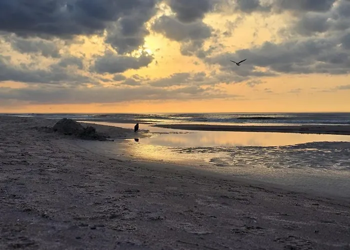 Shellter Premium Przy Plazy