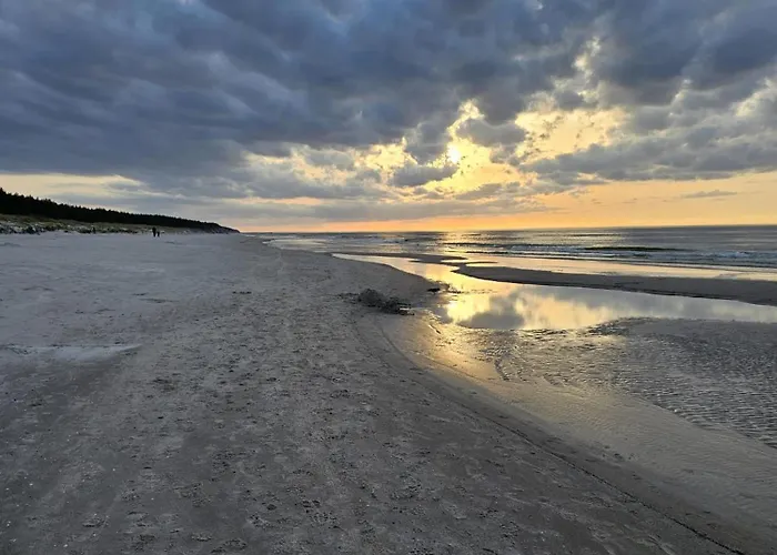 Shellter Premium Przy Plazy רוגובו