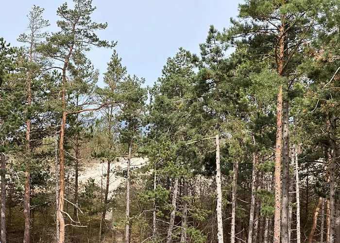 Shellter Premium Przy Plazy Apartment *